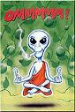 Avatar Picture